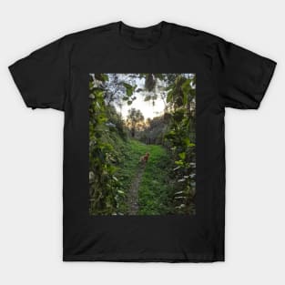 The Way Home T-Shirt